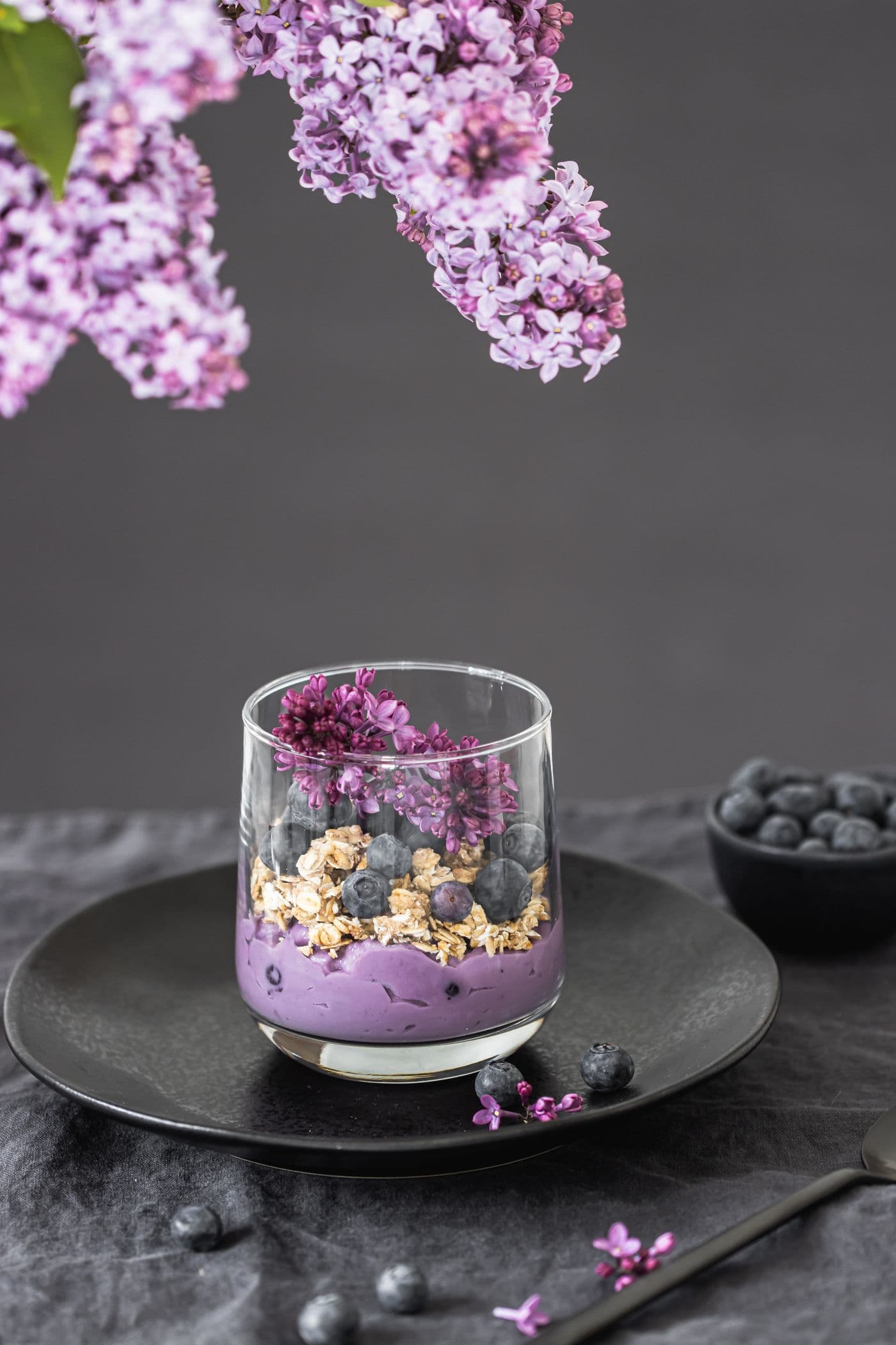 Layered açaí cup with granola and blueberries. Photo by Anna Pyshniuk (Pexels)